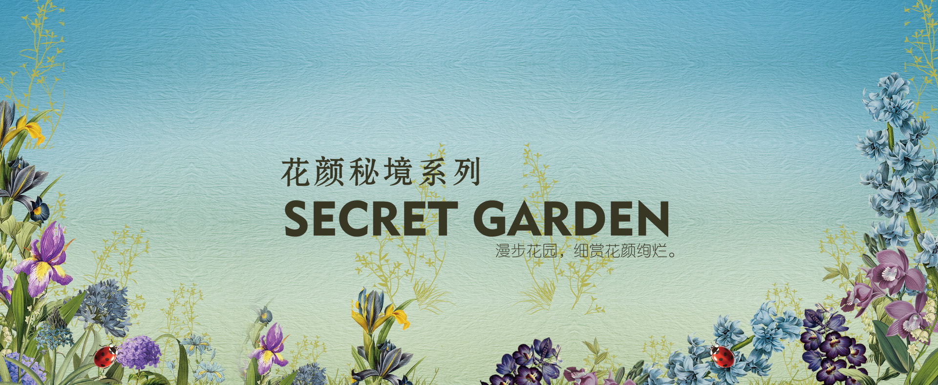 产品系列